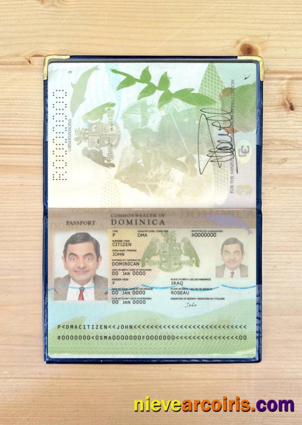 Dominica passport new 2019-present photolook